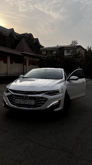 Malibu premer sotiladi