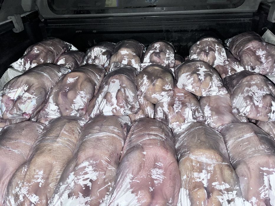 Мясо гусей, домашнее, выращенные в СКО