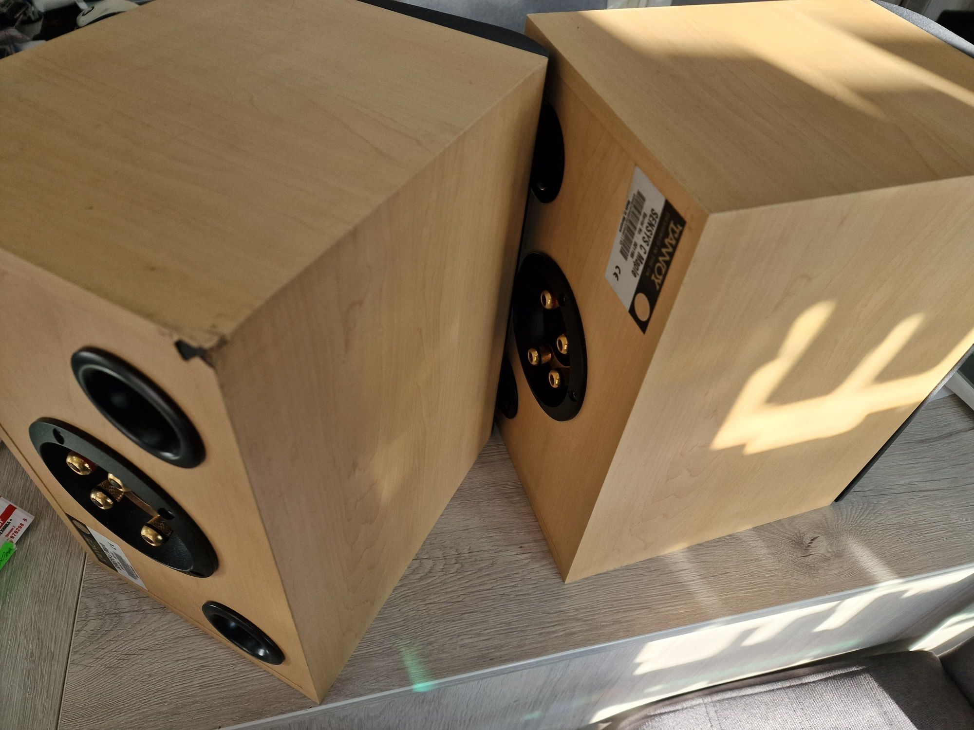 Тонколони Tannoy Sensys C