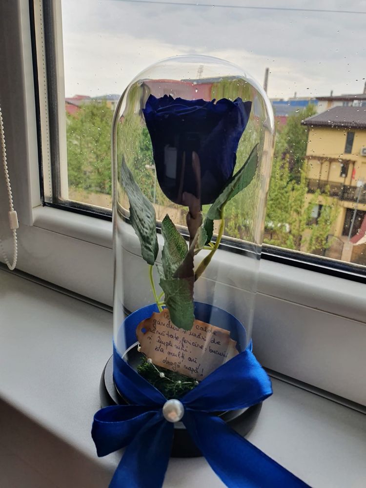 Cupola cu trandafir albastru regal