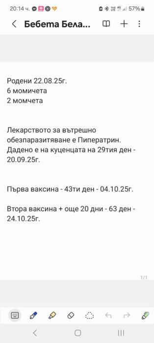 Белгийска овчарка малиноа