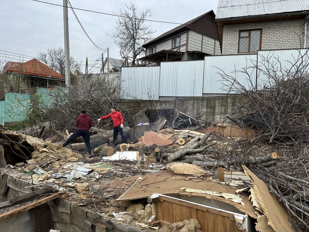 Отдам дрова даром , вместе с ветками