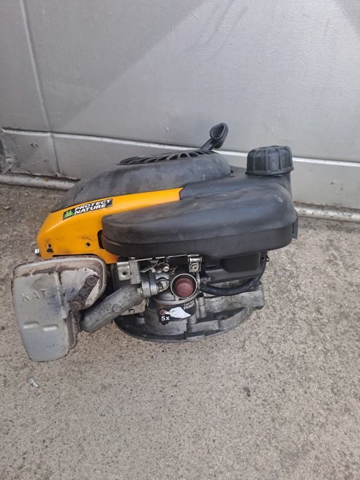 Motor masina de tuns iarba