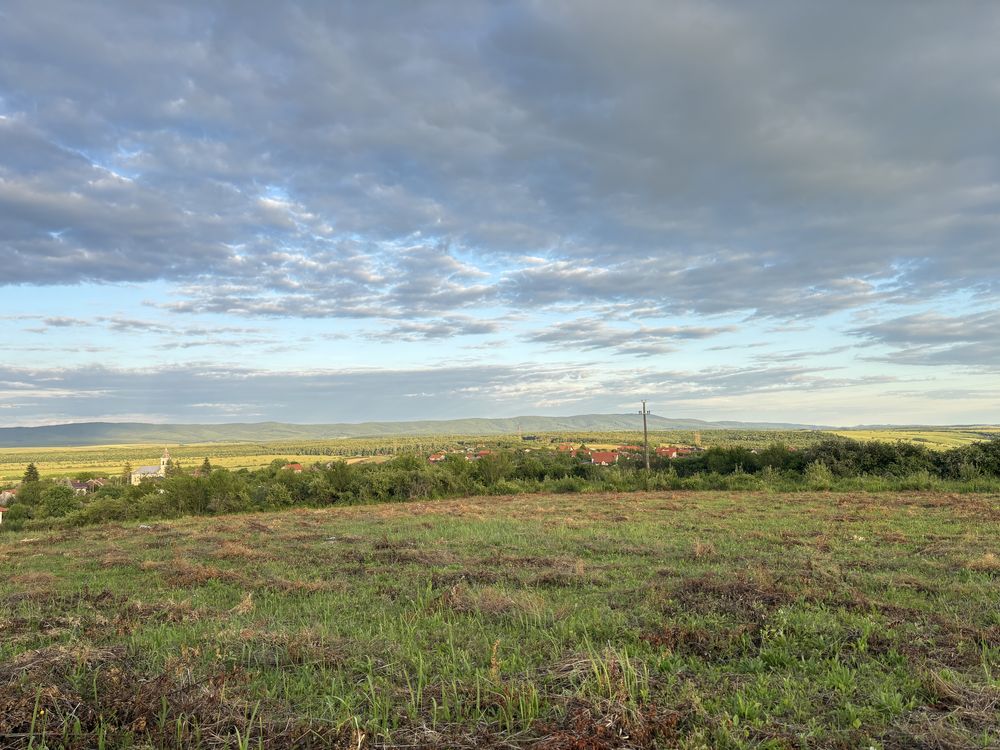 Teren 1.33 Hectare, Intravilan, Viile Satu Mare