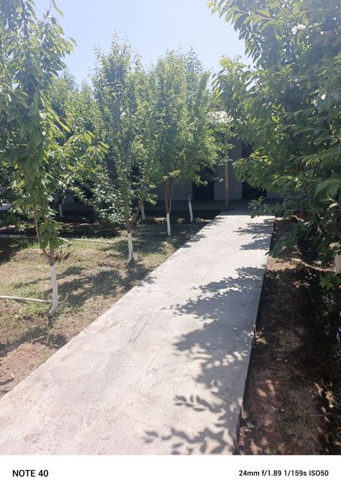Toytepa dacha 6 sotix srochna