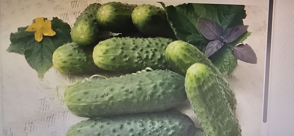 Продается домашние огурцы