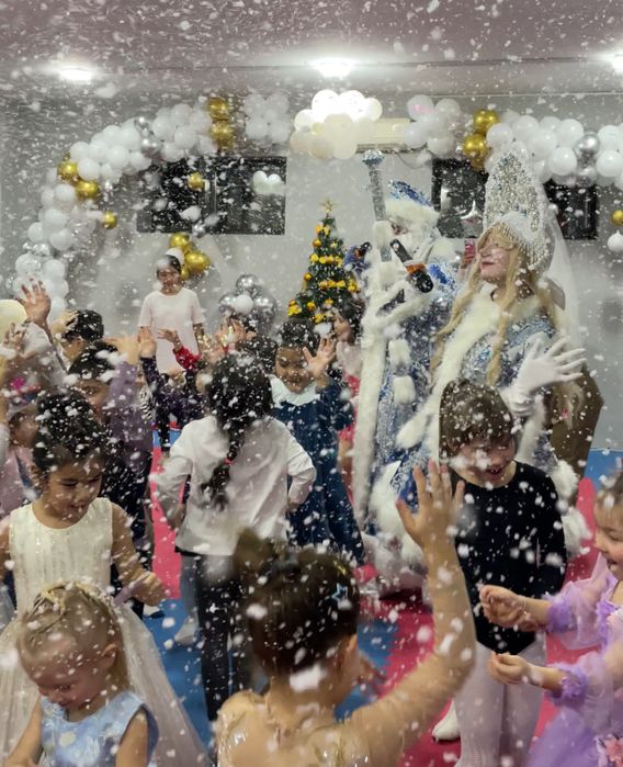 Дед мороз и снегурочка шоу программа  .