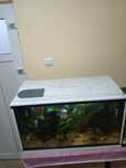 Acvariu  120l complet
