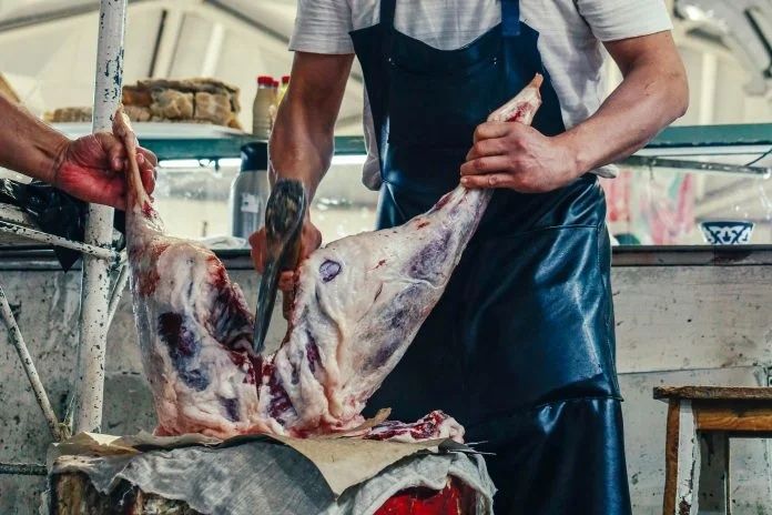 Qassob xizmati qo'yingizni pokiza so'yib nimtalab beramiz