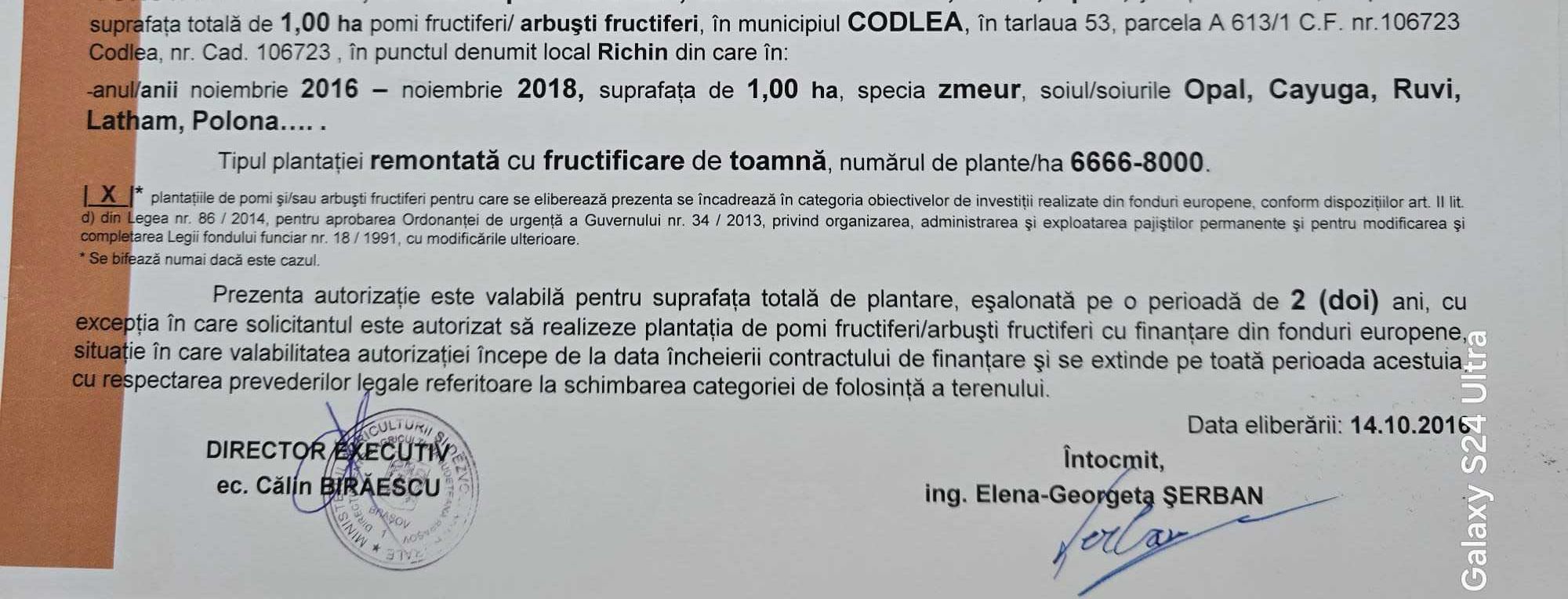 OFERTA Teren   11000m2/ 25000 euro Codlea proiect de plantatie aprobat