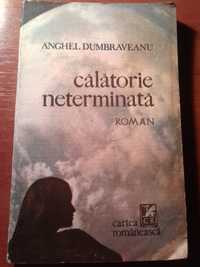 Calatorie neterminata de Anghel Dumbraveanu