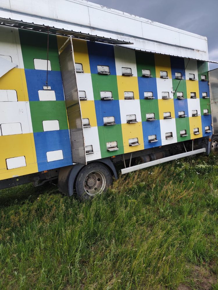 Vand la alegere camion apicol