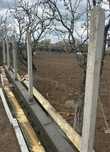 Spalieri beton , gard , livezi