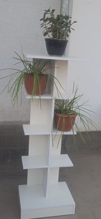 Sotiladi gul pastafka