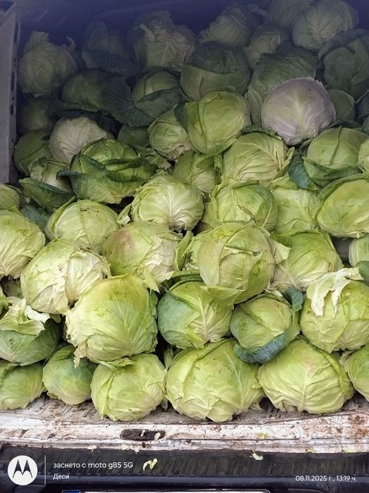 Продавам зеле кьосе