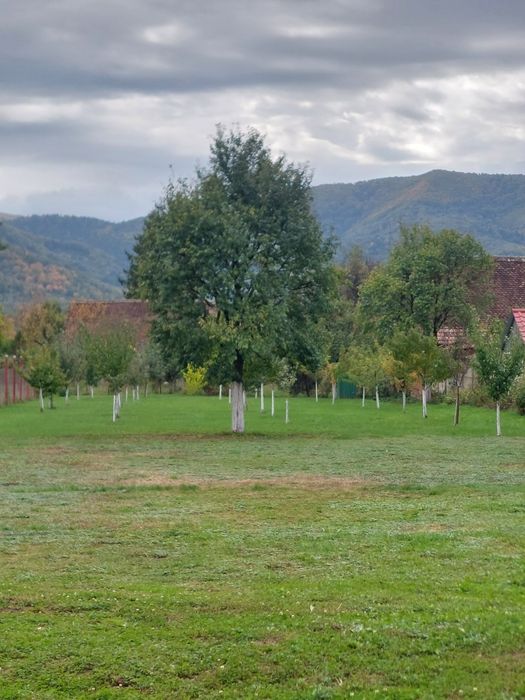 Casă nouă parter-proprietar
