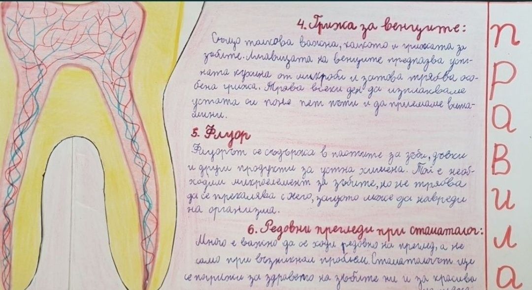 Учебници, тетрадки, помагала и атласи за 4. и 5. клас + проект