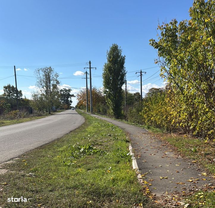 Teren  600 mp Buftea Darza