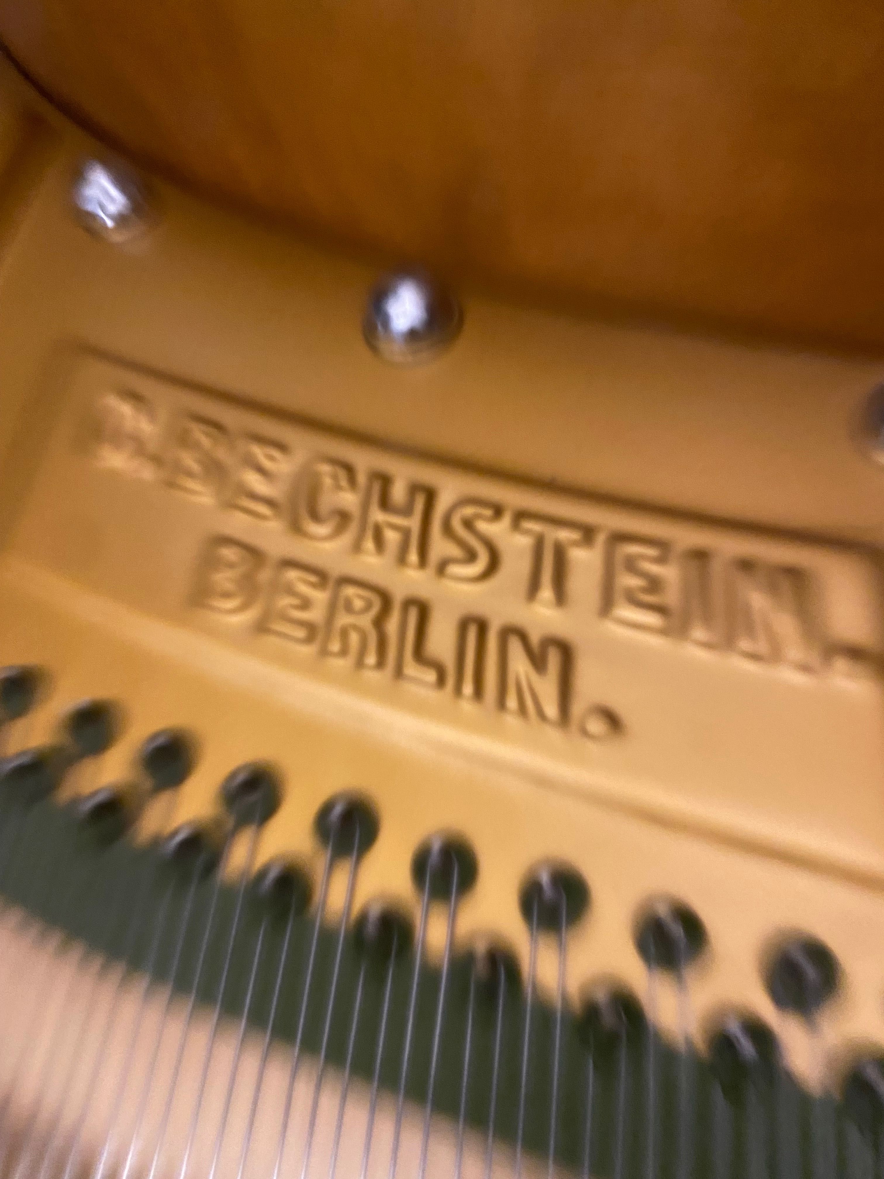 BECHSTEIN-ca și NOU- Pian Concert !