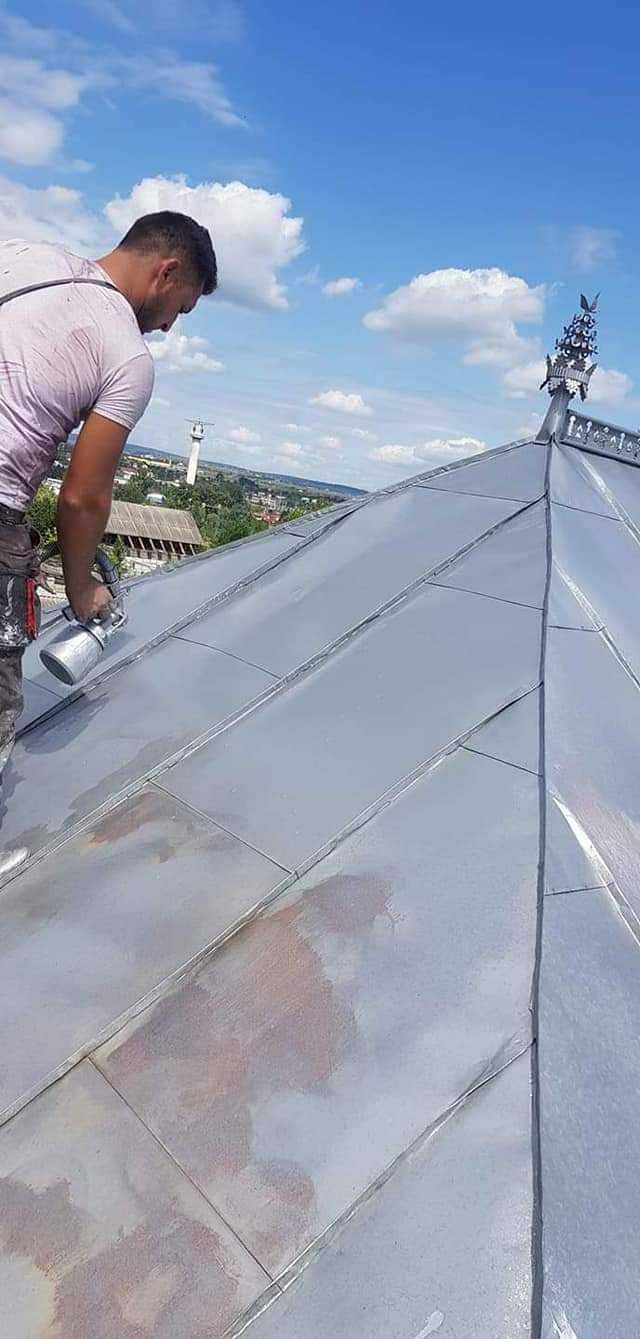 Vopsim orice tip de tabla pe casa, garduri, porti si alte suprafete