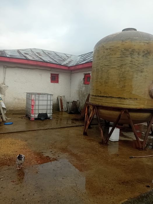 Proprietate extravilană stil cramă, cu vie tânără în apropiere,Odobeșt