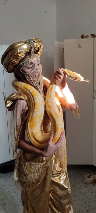 Тигровая змея питон