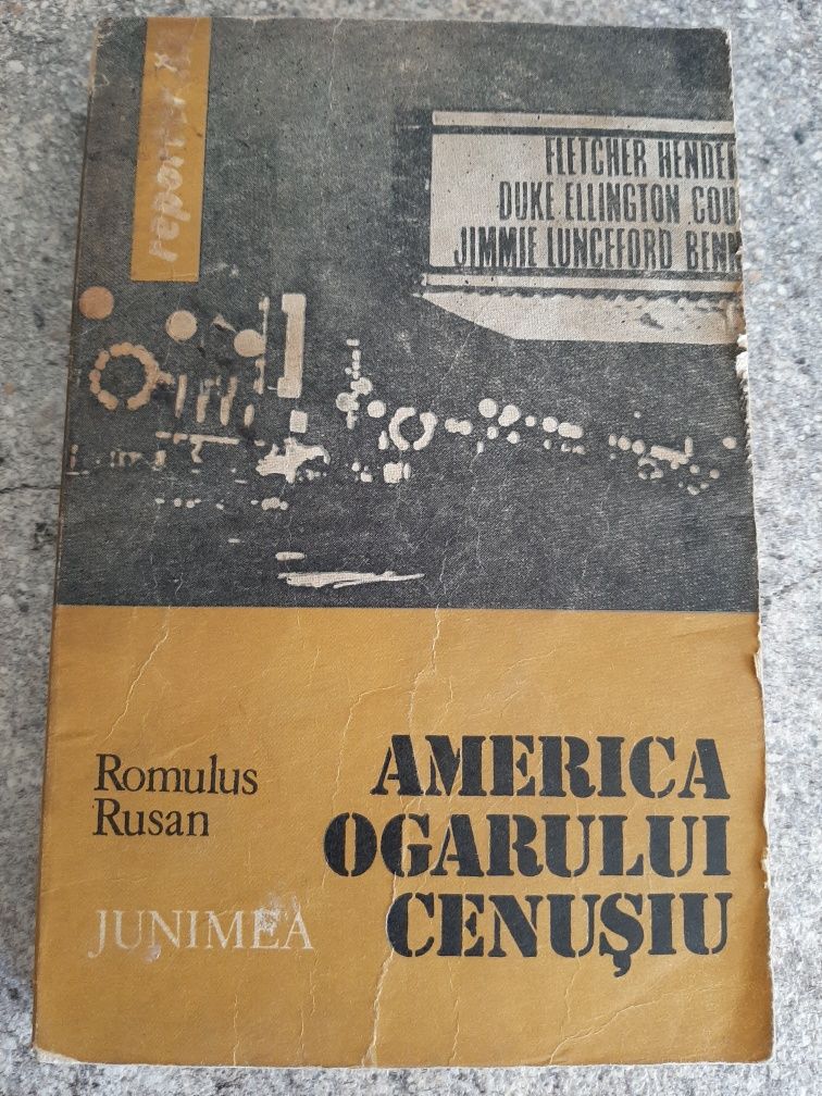 America ogarului cenușiu, de Romulus Rusan.