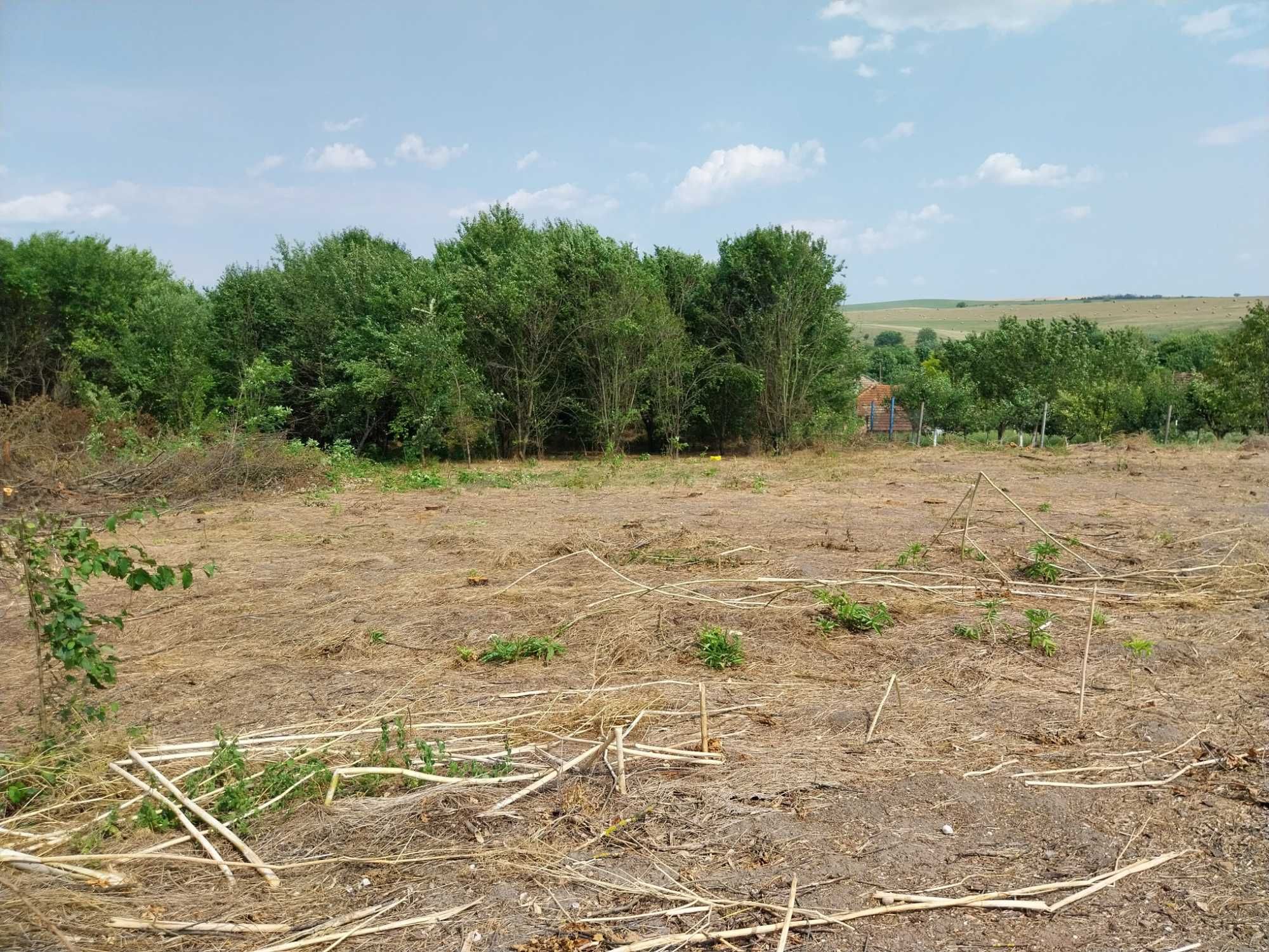 Продава къща в с. Павел с престройки и проект за ФЕЦ 100 kW.
