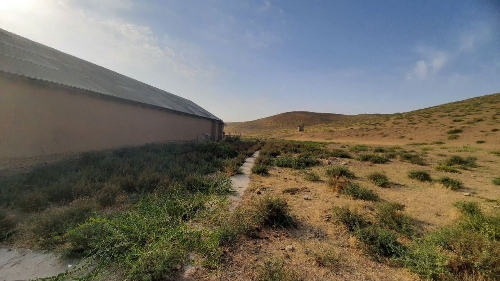 Продается большая ферма