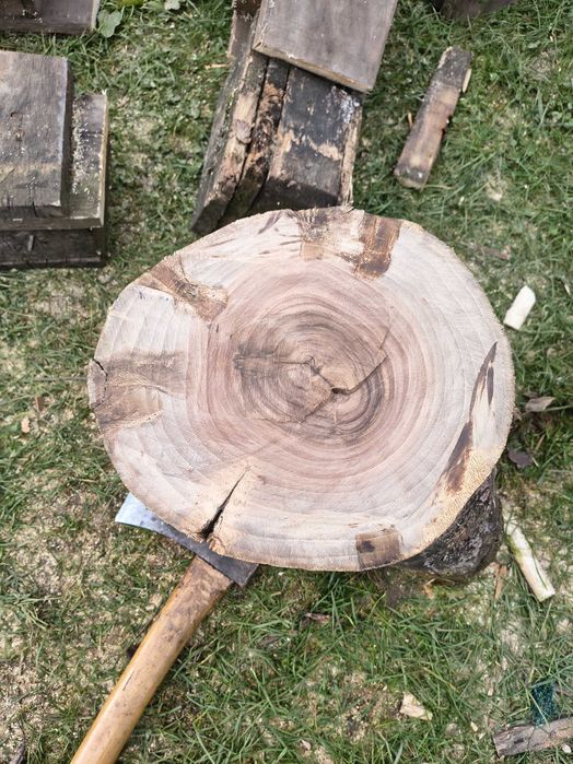 Trunchi de nuc uscat