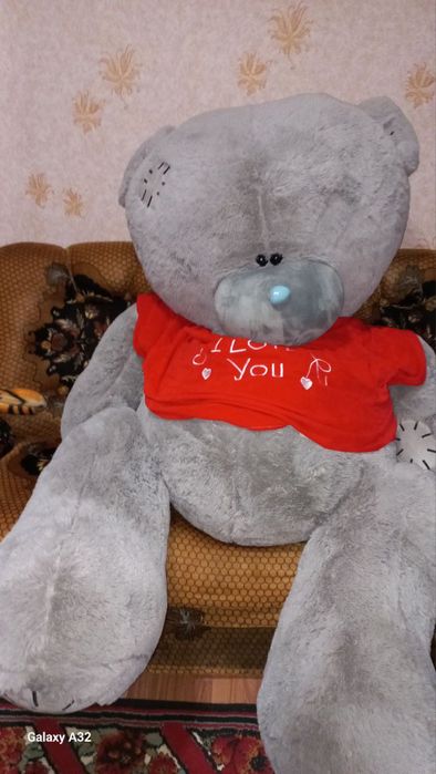 Igrushka miyaxki teddy xolati yap yangi rangi seri