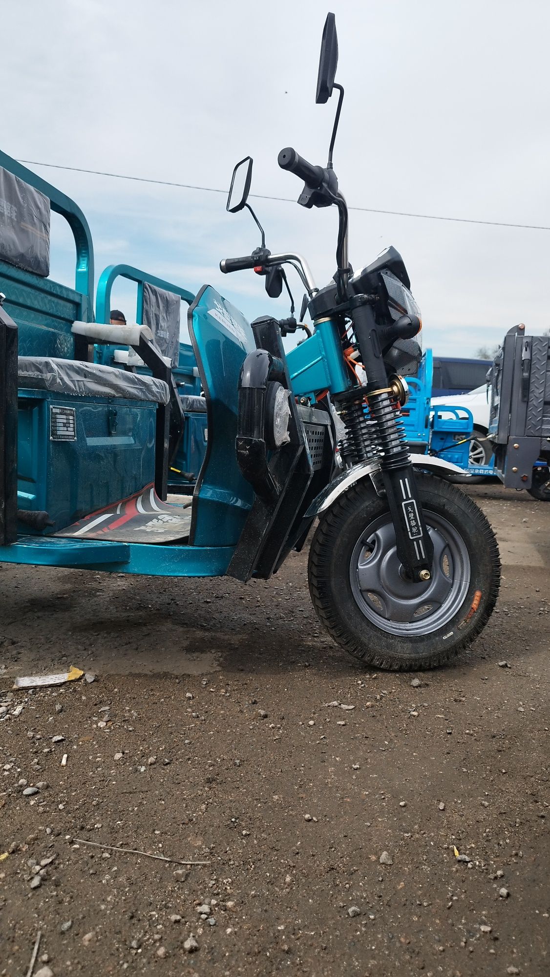 Грузовой электрический Трициклы муравей купить новая скутер мото
