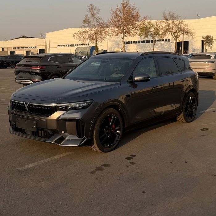 Voyah free (2025 rest)