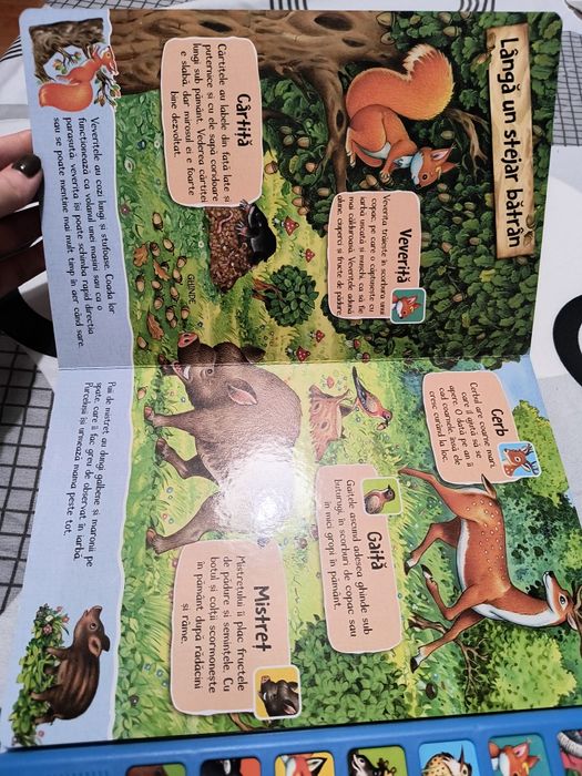 Carte sonora Bun venit în padure - Glasuri vesele