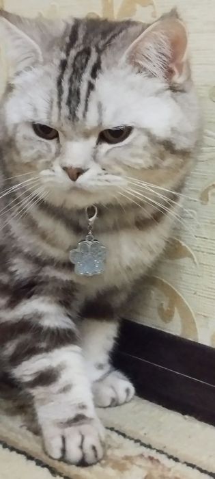 Вязка. Насл олиш