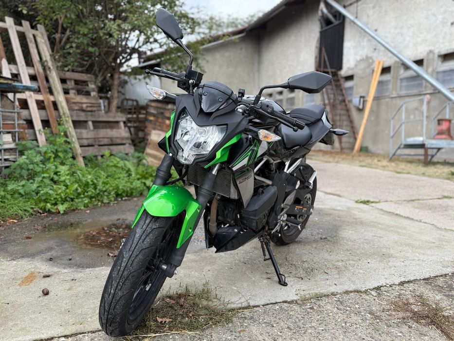 Kawasaki Z 125 ( Mt 125, cb 125 r)