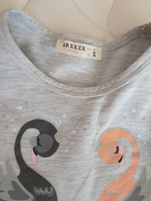 Рокли, блузи, суичер, пухен елек, ски панталон, шапка, шал  2-4 г.