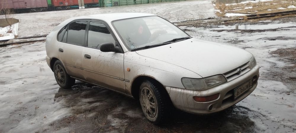 Тойота Королла                    .