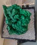 Malachite botryoidal si Linarite, flori de mina