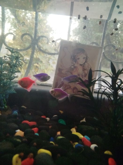 Аквариум 120 литров Б/У