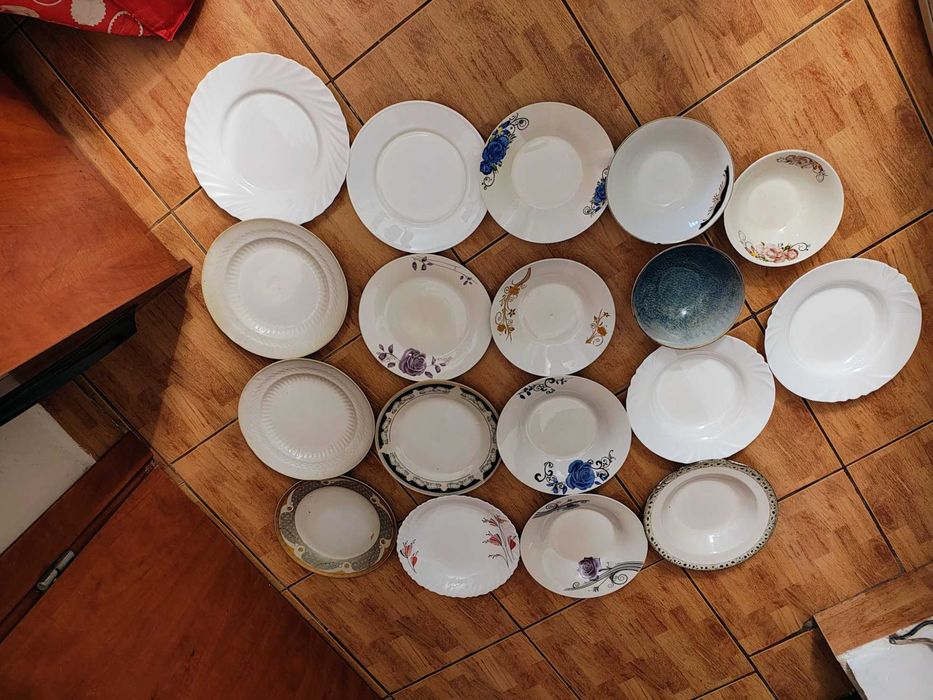 Farfurii cani castron vase farfurie