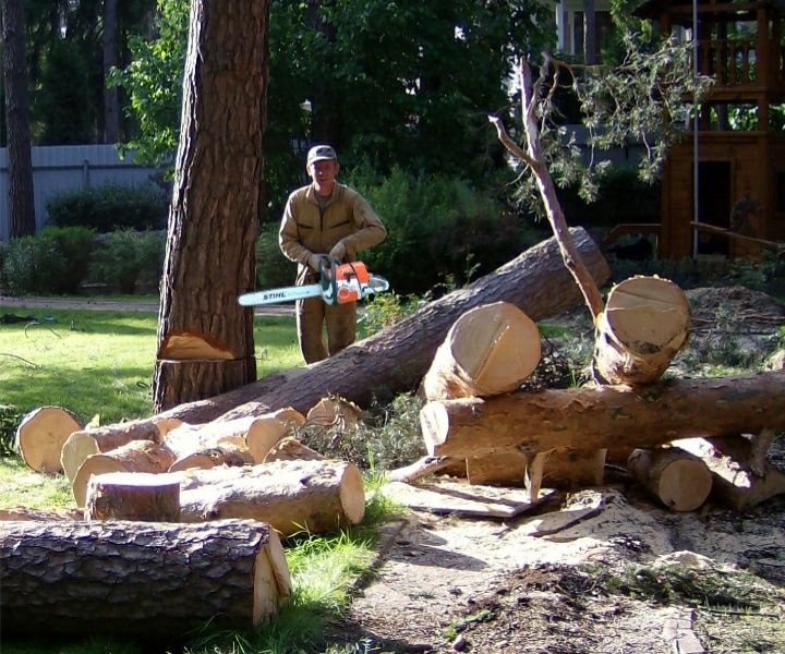 Дарахт кесиш хизмати ОБРЕЗКА деревьев