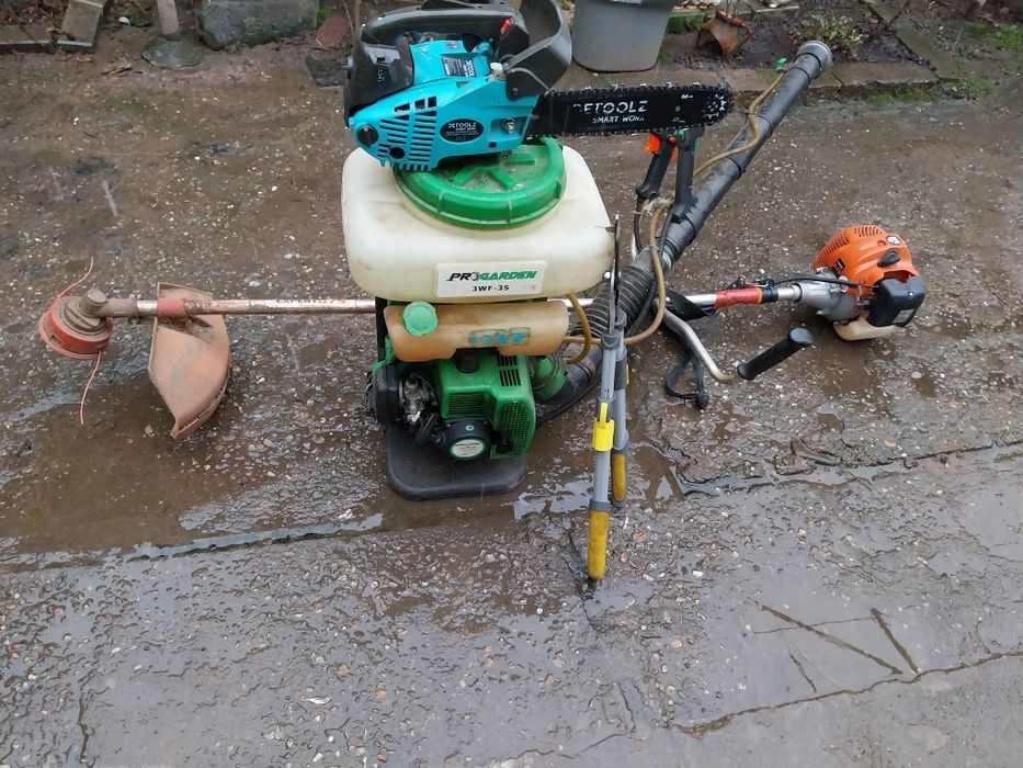 Curatat pomi si stropi