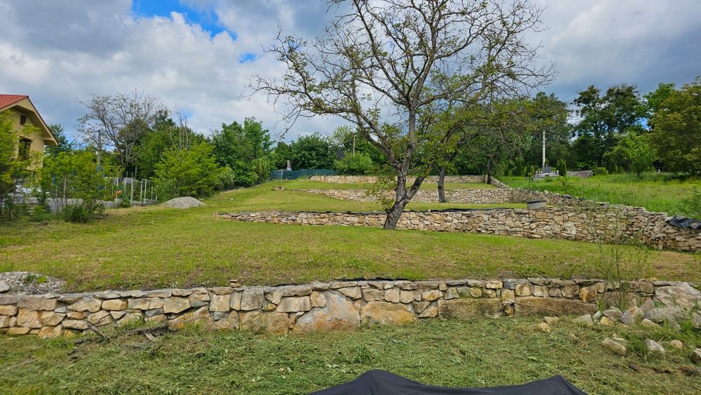 Teren Făget  3900 mp