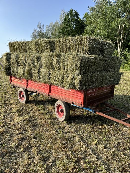 Vând baloți de trifoi și timotei semanatura