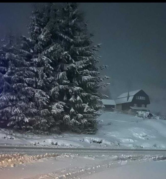 Cazare disponibilă  în Vârtop-Arieșeni, Alba