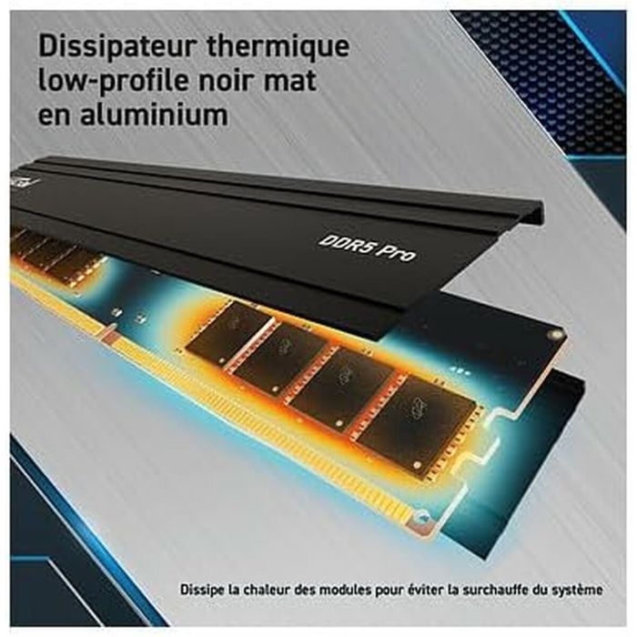 Memorie RAM Crucial Pro DDR5 1x 24GB 5600MHz Sigilata OFERTA