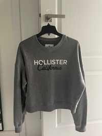 Hanorac Hollister