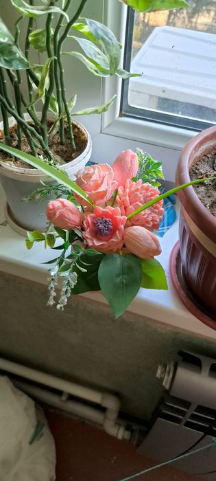 Цветы различные растения