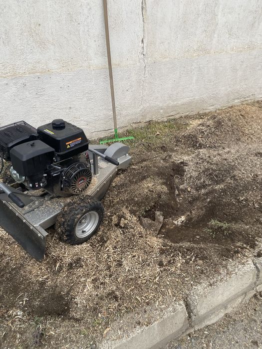 Премахване на пънове с мото фреза